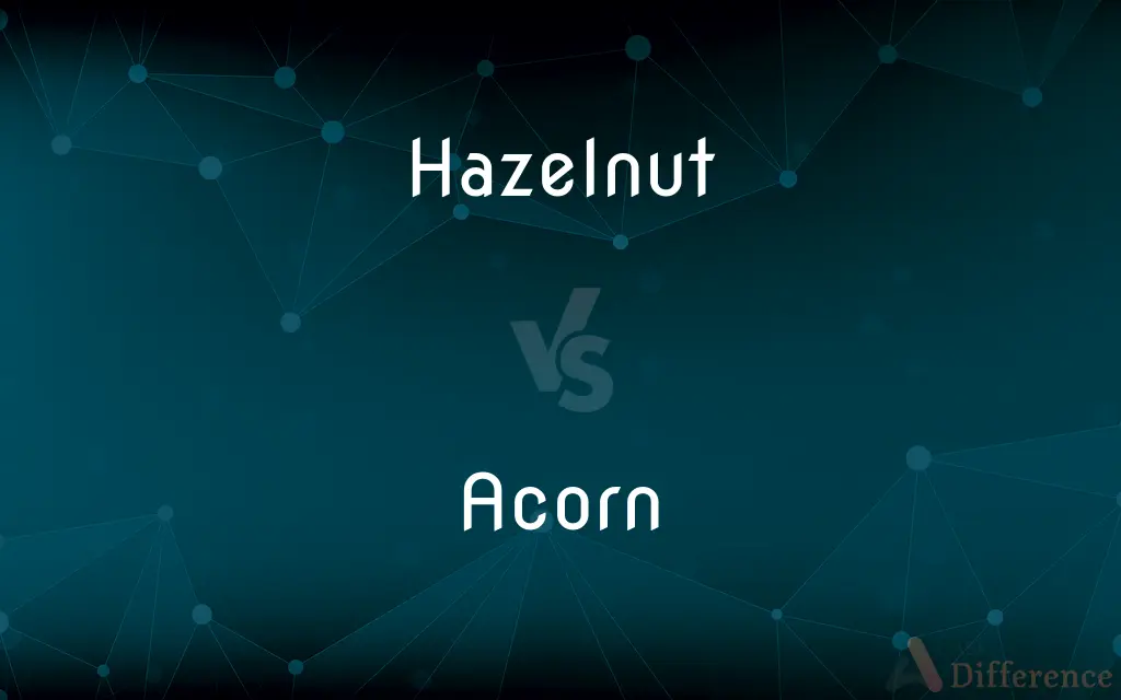 Hazelnut vs. Acorn — What's the Difference?