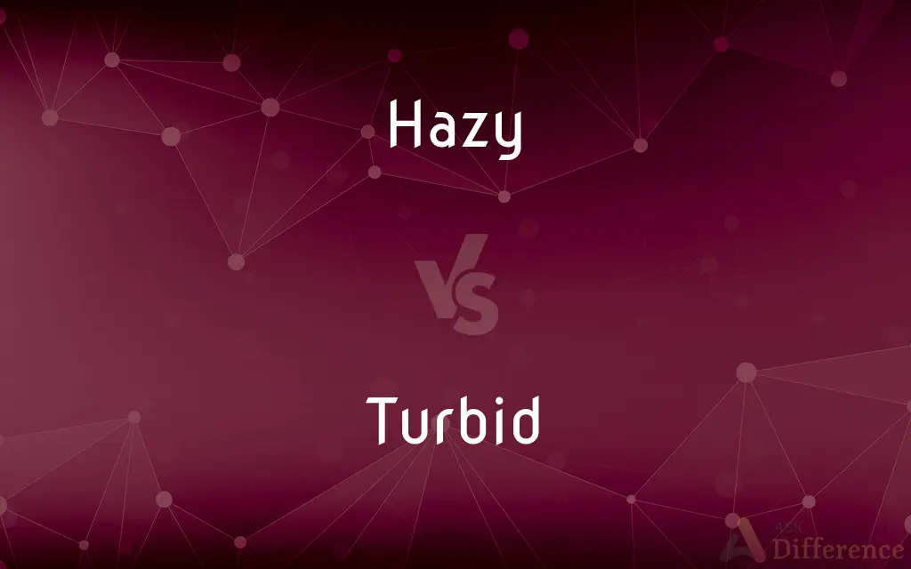 Hazy vs. Turbid — What's the Difference?