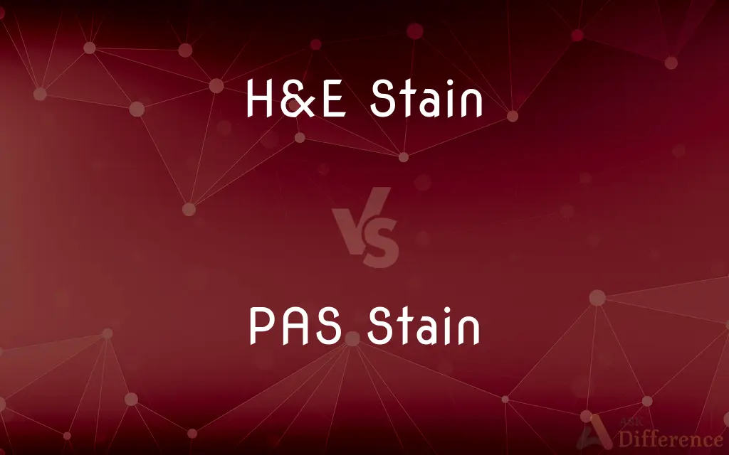 H&E Stain vs. PAS Stain — What's the Difference?