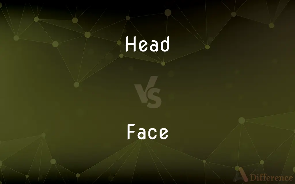 Head vs. Face — What's the Difference?