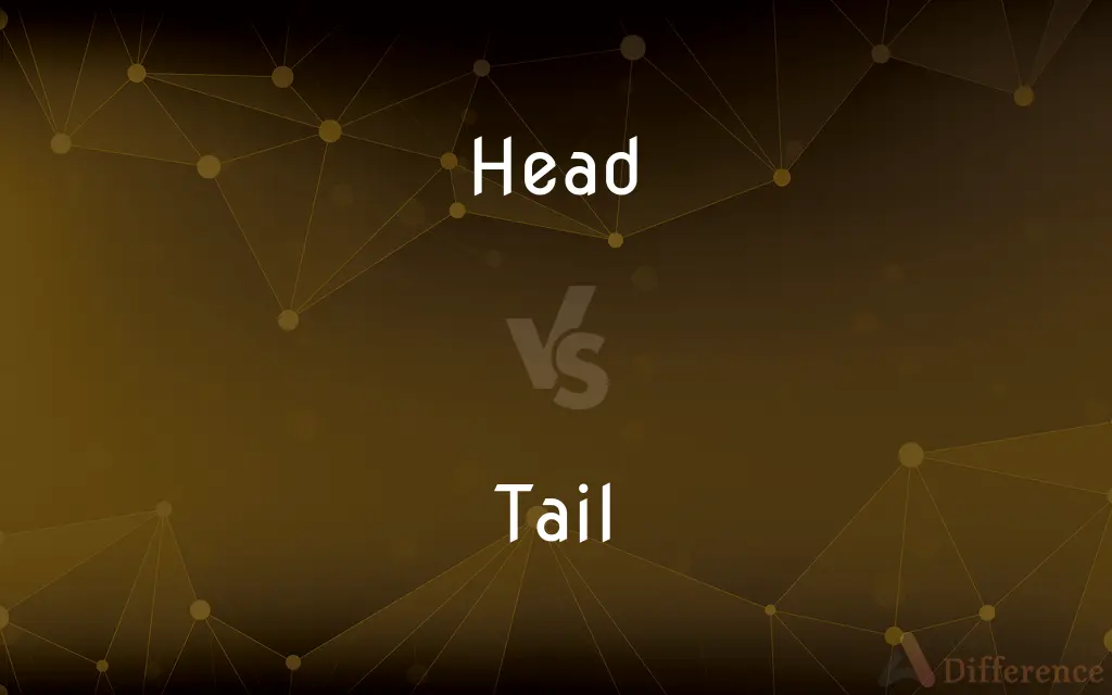 Head vs. Tail — What's the Difference?