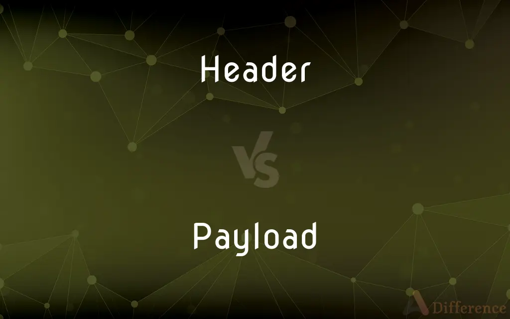 Header vs. Payload — What's the Difference?