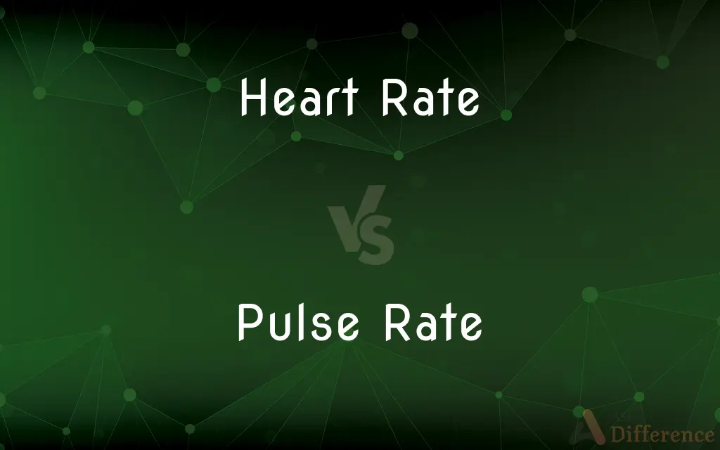 Heart Rate vs. Pulse Rate — What's the Difference?