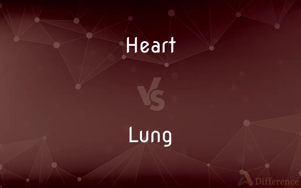 Heart vs. Lung — What's the Difference?