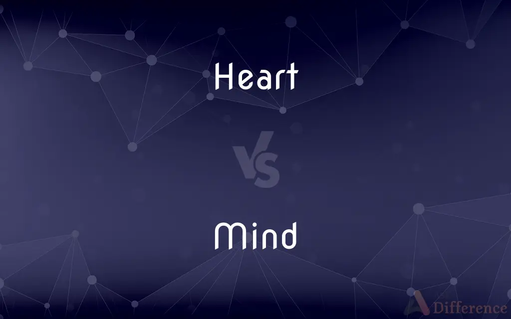 Heart vs. Mind — What's the Difference?
