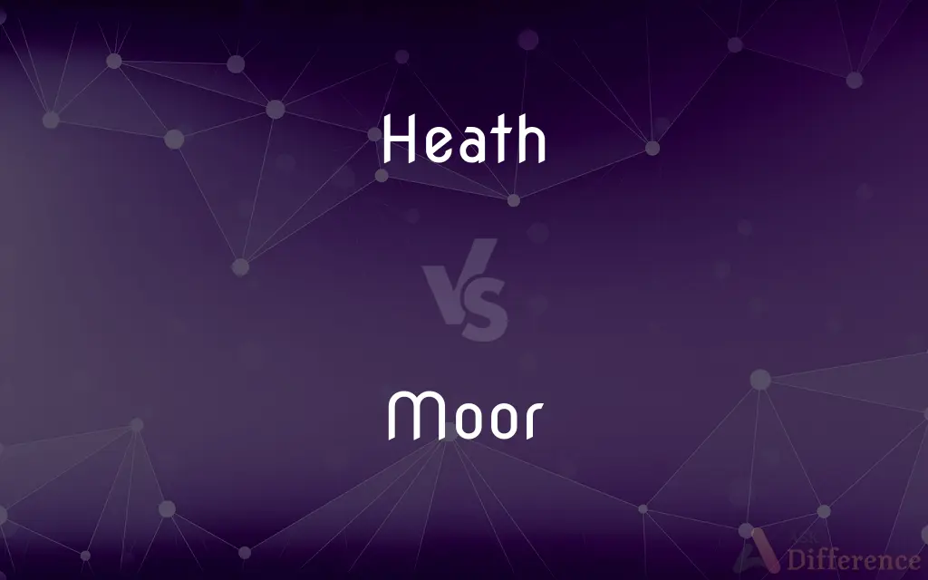 Heath vs. Moor — What's the Difference?