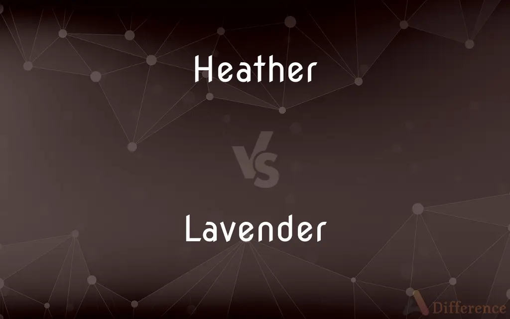 Heather vs. Lavender — What's the Difference?