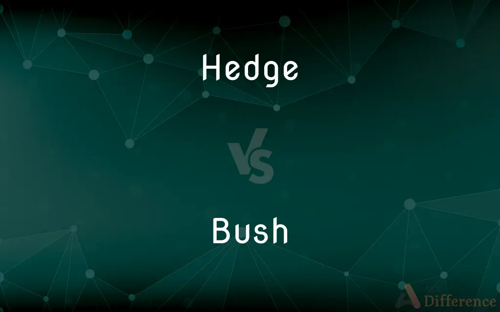 Hedge vs. Bush — What's the Difference?