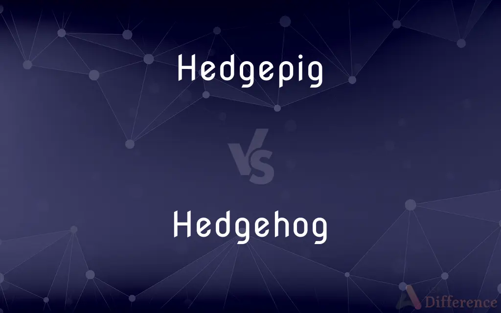 Hedgepig vs. Hedgehog — Which is Correct Spelling?