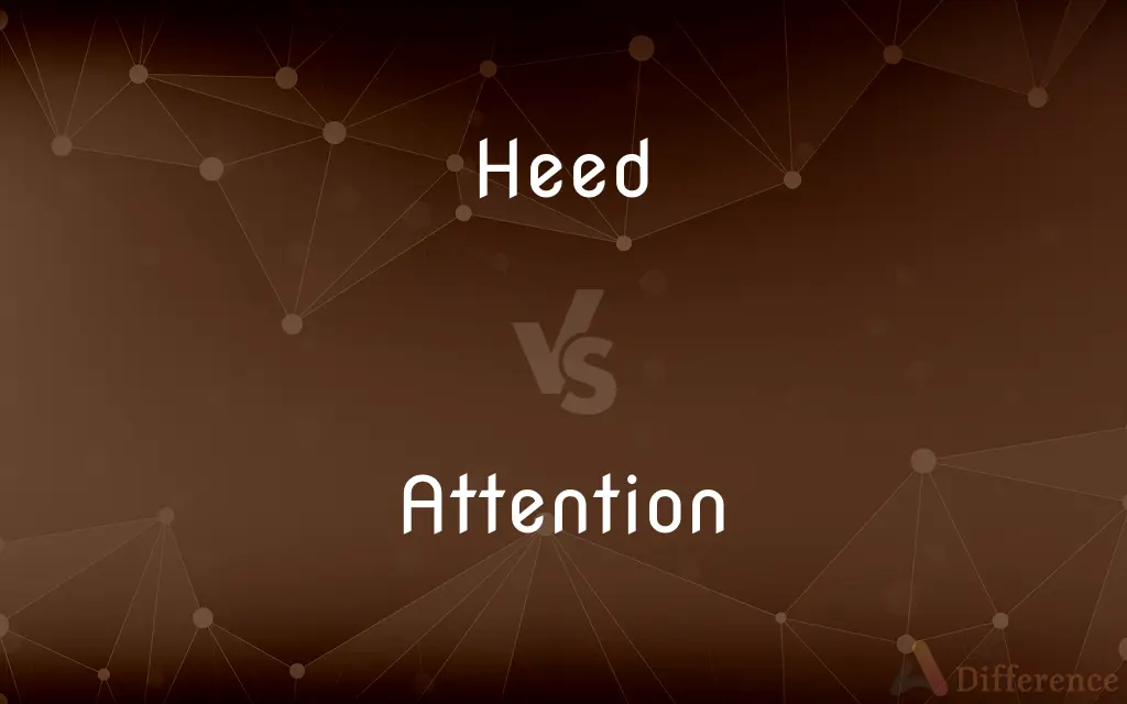 Heed vs. Attention — What's the Difference?