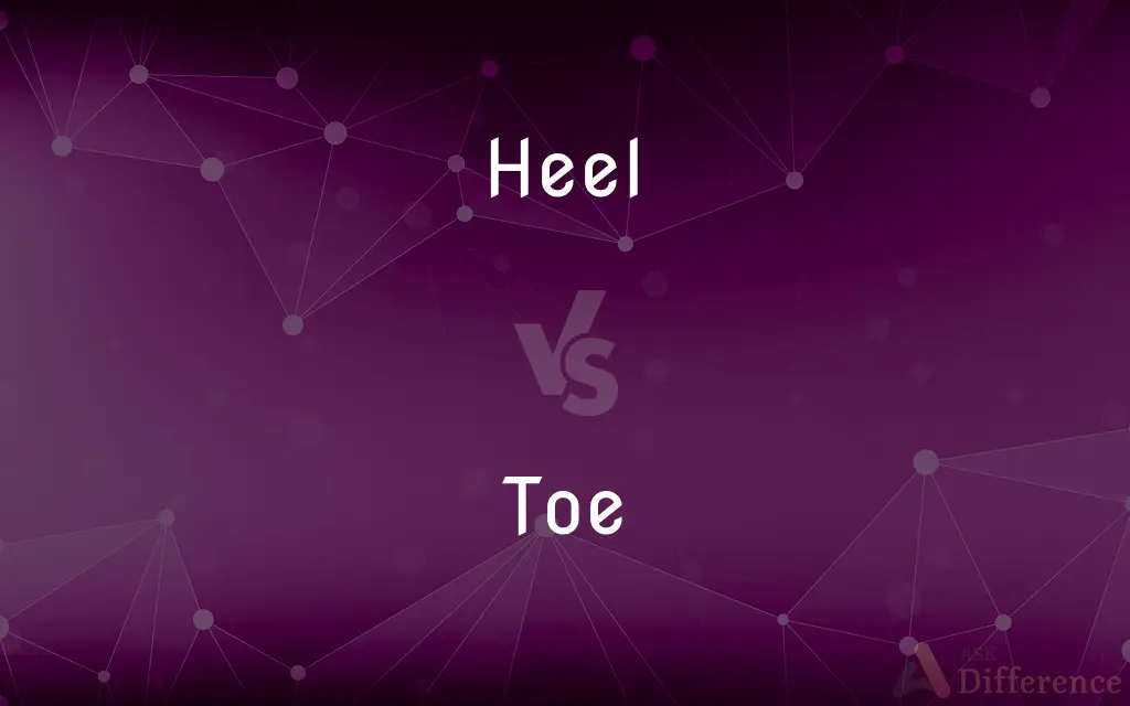 Heel vs. Toe — What's the Difference?