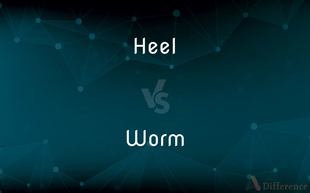 Heel vs. Worm — What's the Difference?