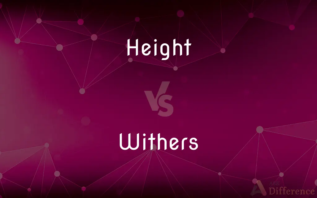 Height vs. Withers — What's the Difference?