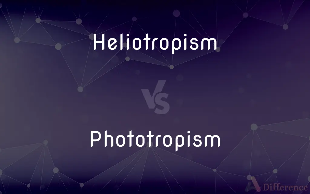 Heliotropism vs. Phototropism — What's the Difference?
