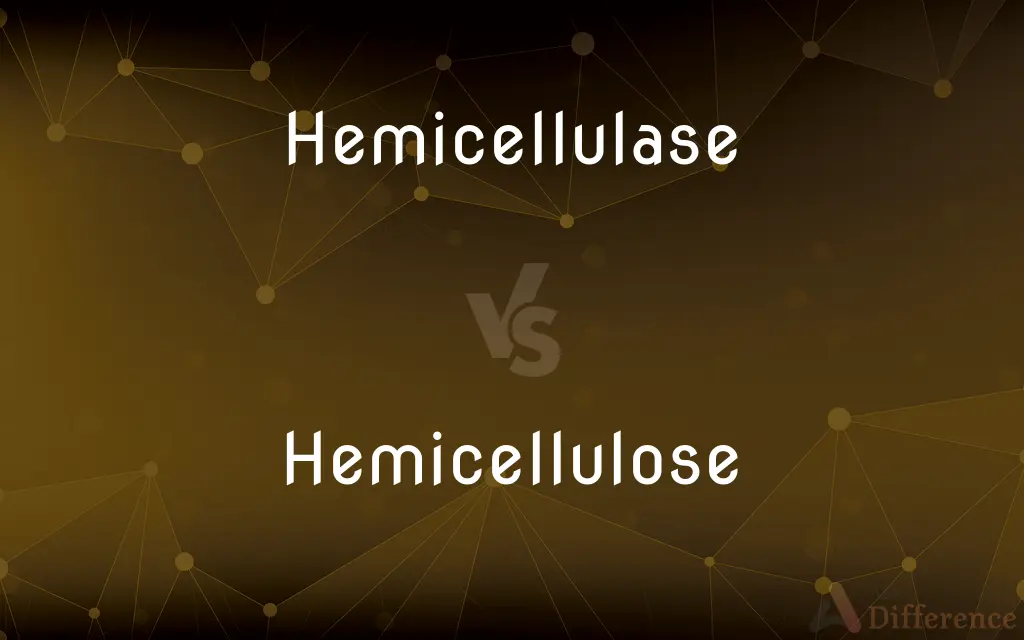 Hemicellulase vs. Hemicellulose — What's the Difference?
