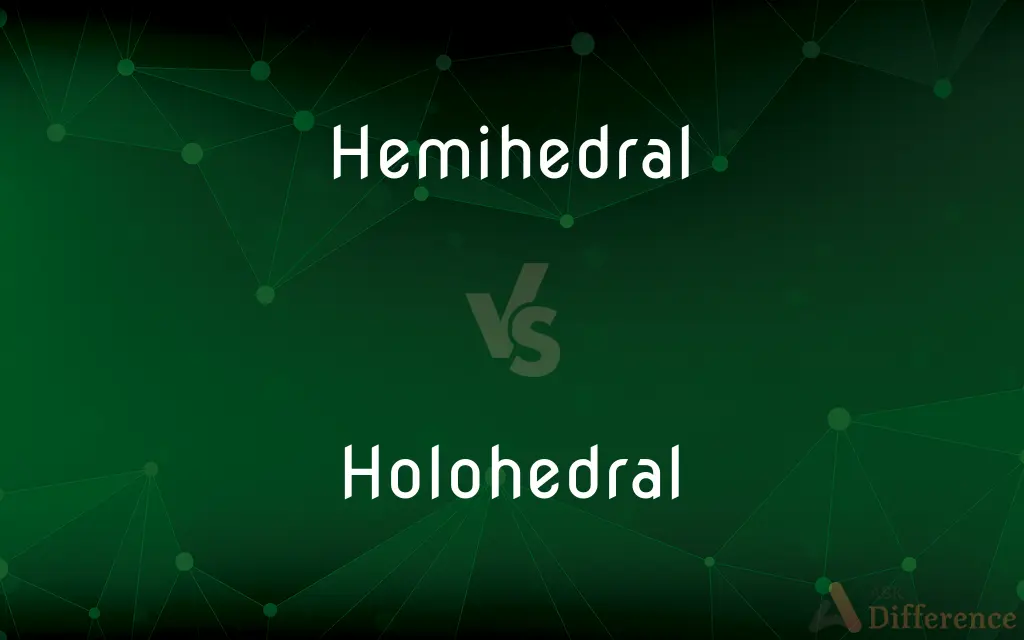 Hemihedral vs. Holohedral — What's the Difference?