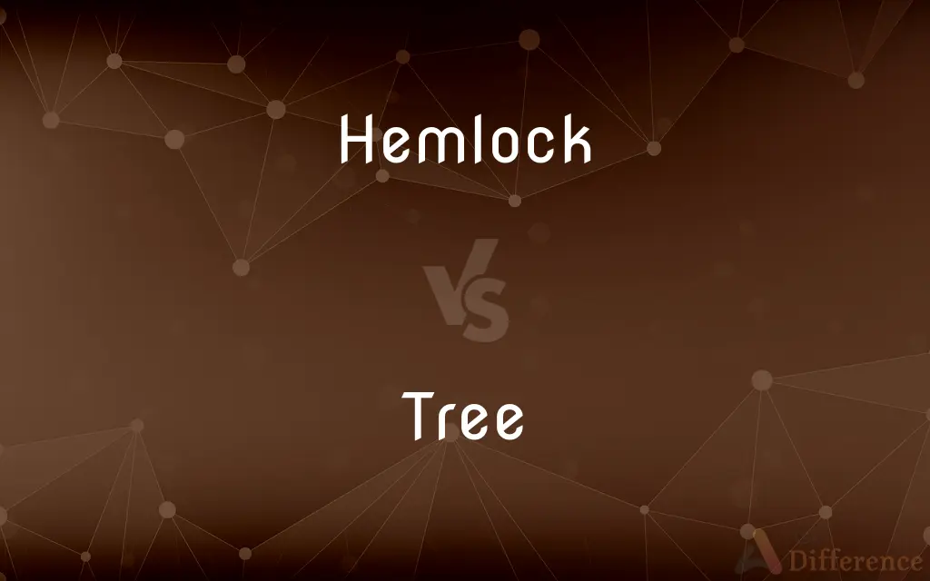 Hemlock vs. Tree — What's the Difference?