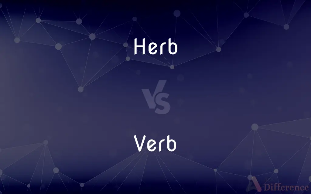 Herb vs. Verb — What's the Difference?