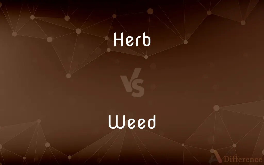 Herb vs. Weed — What's the Difference?