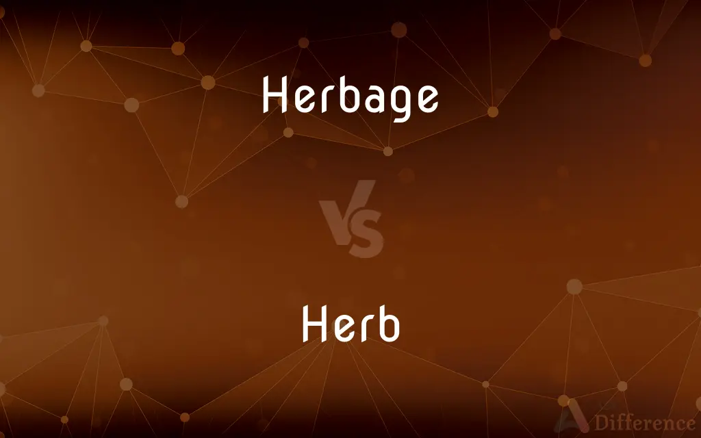 Herbage vs. Herb — What's the Difference?