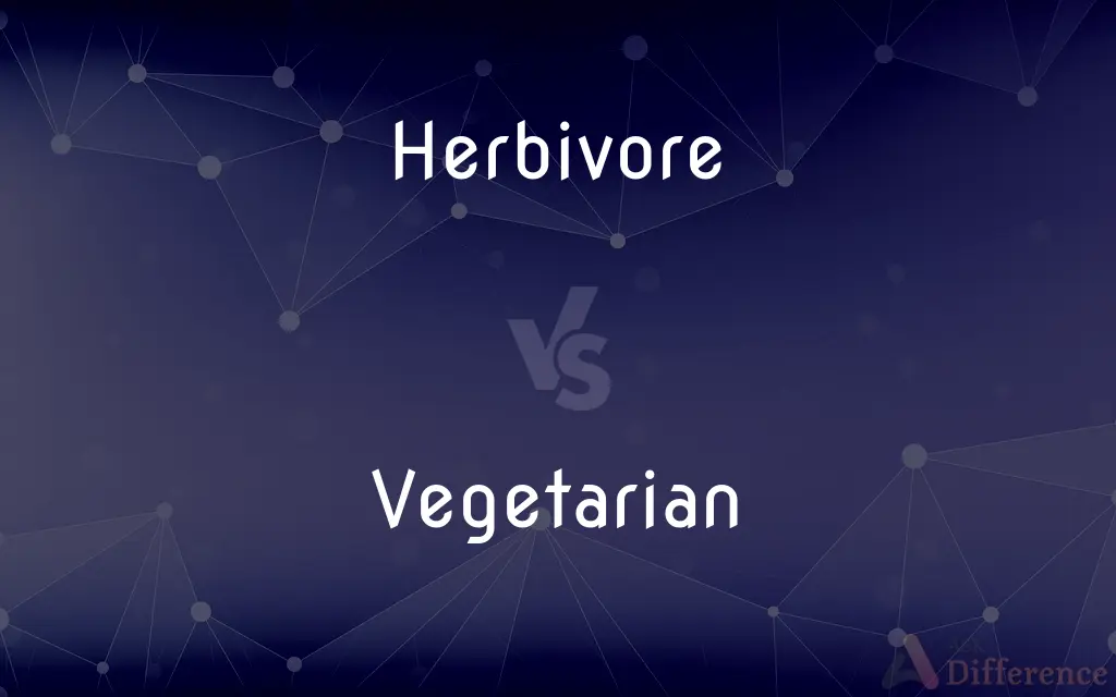 Herbivore vs. Vegetarian — What's the Difference?
