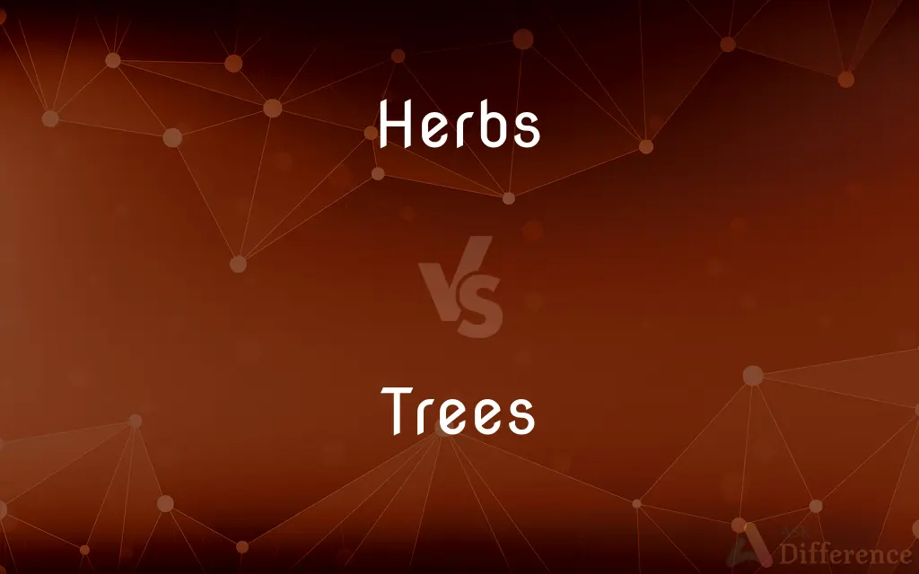 Herbs vs. Trees — What's the Difference?