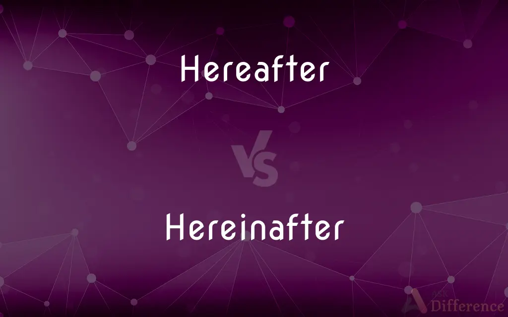 Hereafter vs. Hereinafter — What's the Difference?