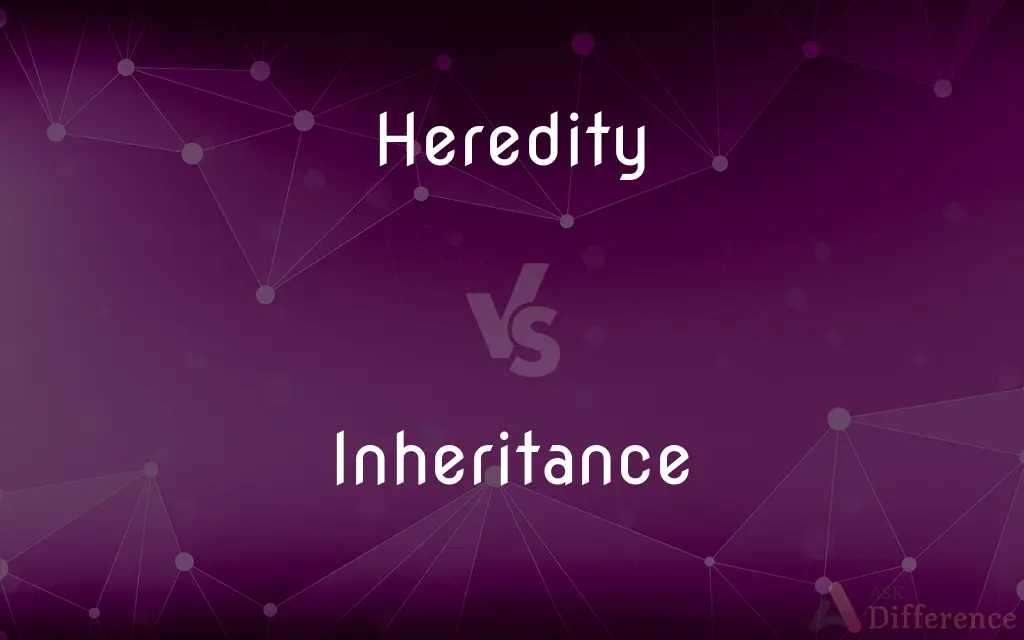 Heredity vs. Inheritance — What's the Difference?