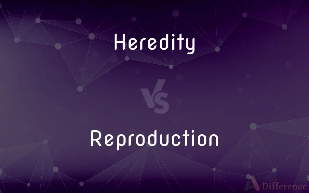 Heredity vs. Reproduction — What's the Difference?