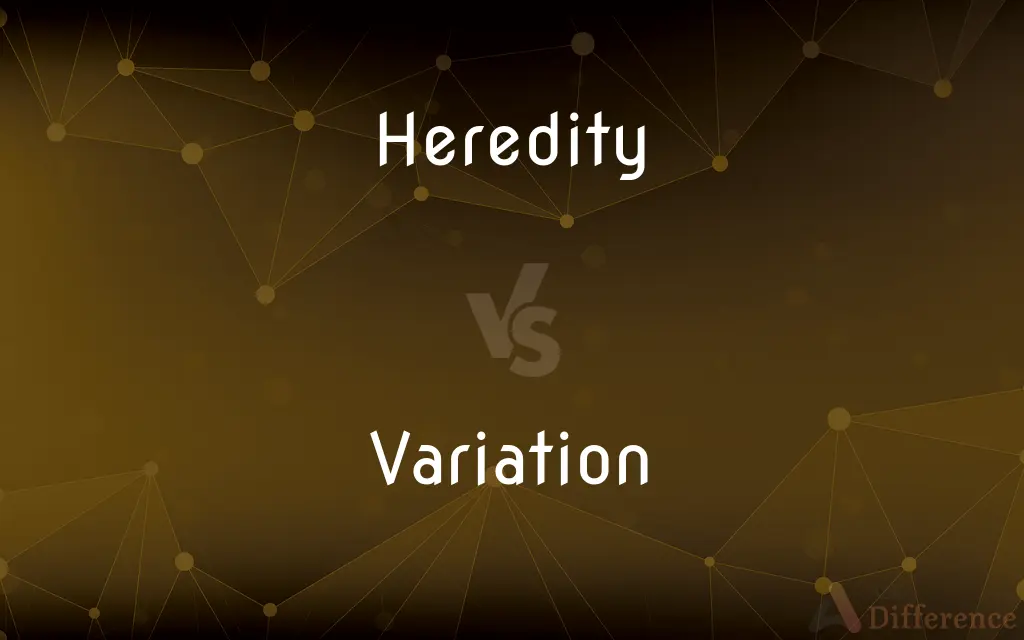 Heredity vs. Variation — What's the Difference?