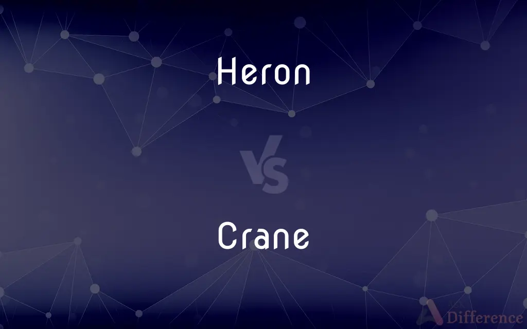 Heron vs. Crane — What's the Difference?