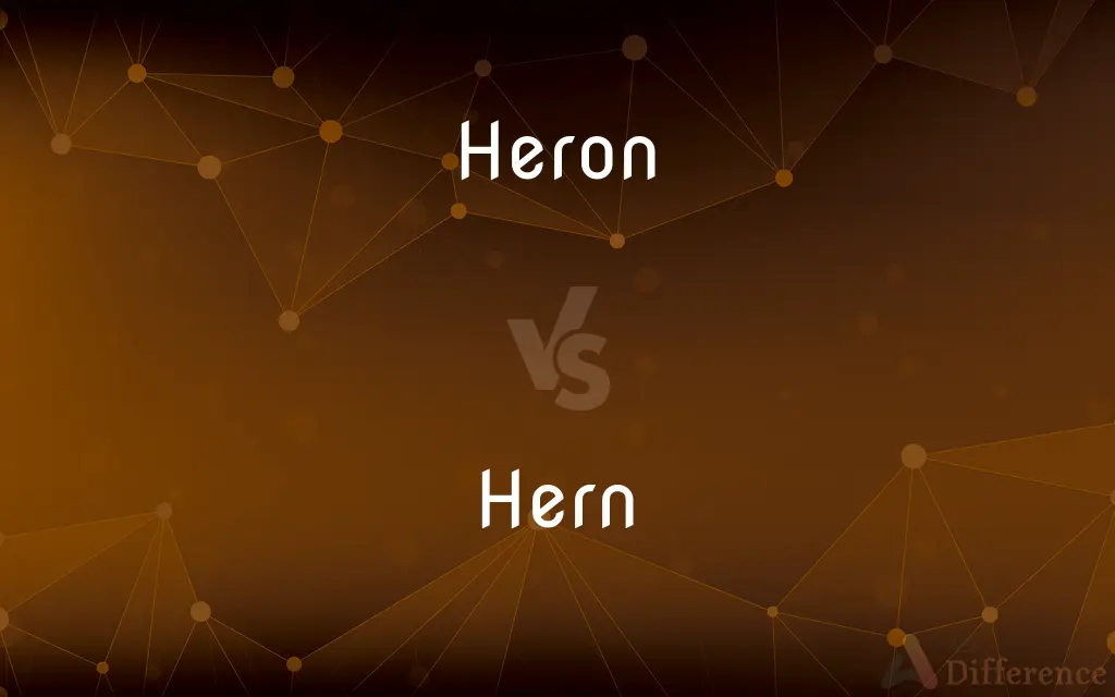 Heron vs. Hern — Which is Correct Spelling?
