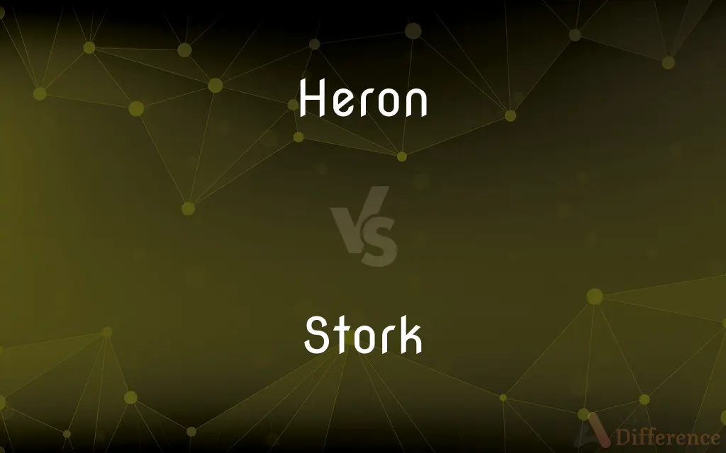 Heron vs. Stork — What's the Difference?