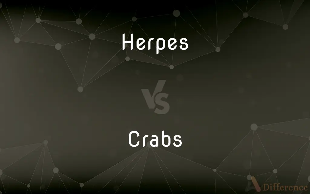 Herpes vs. Crabs — What's the Difference?