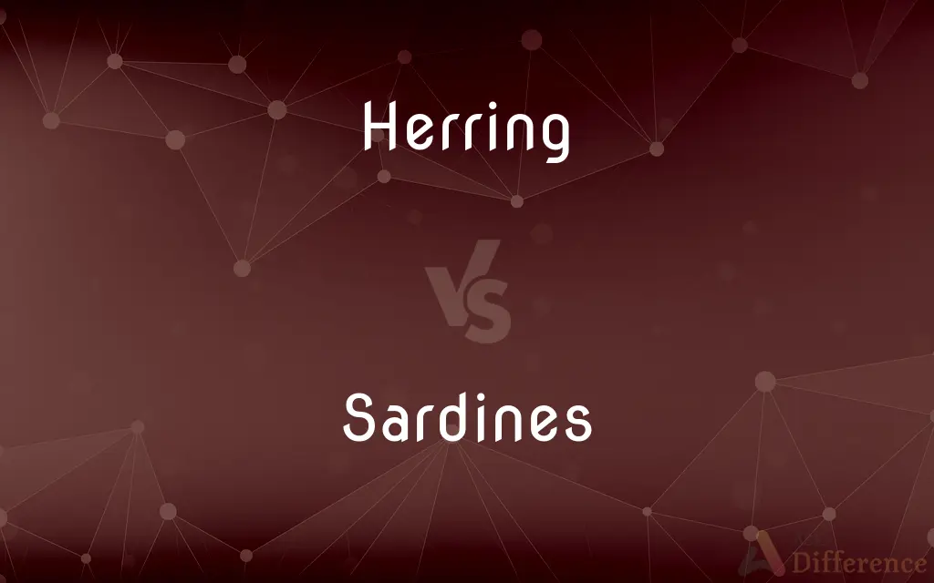 Herring vs. Sardines — What's the Difference?