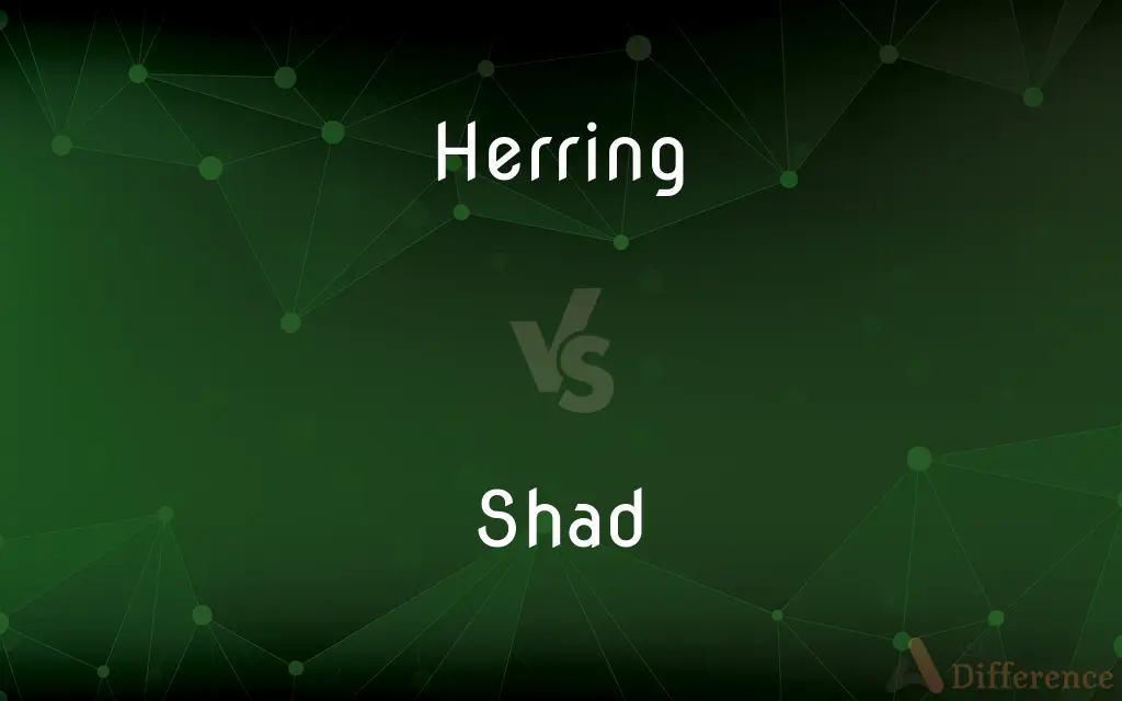 Herring vs. Shad — What's the Difference?