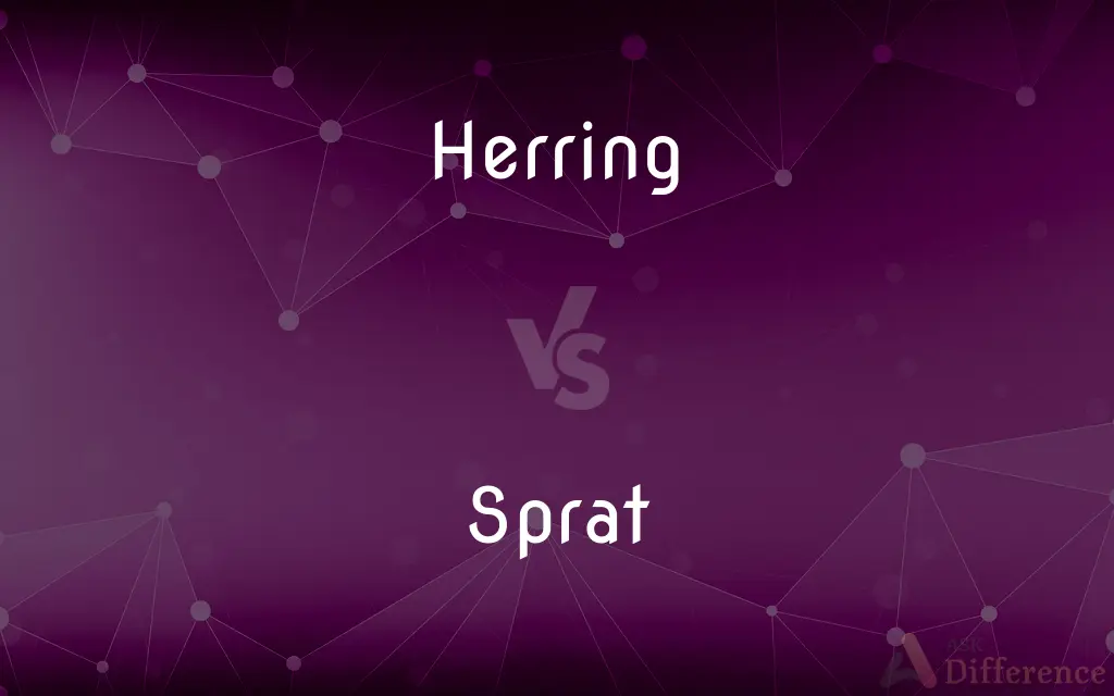 Herring vs. Sprat — What's the Difference?