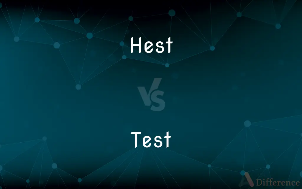 Hest vs. Test — What's the Difference?