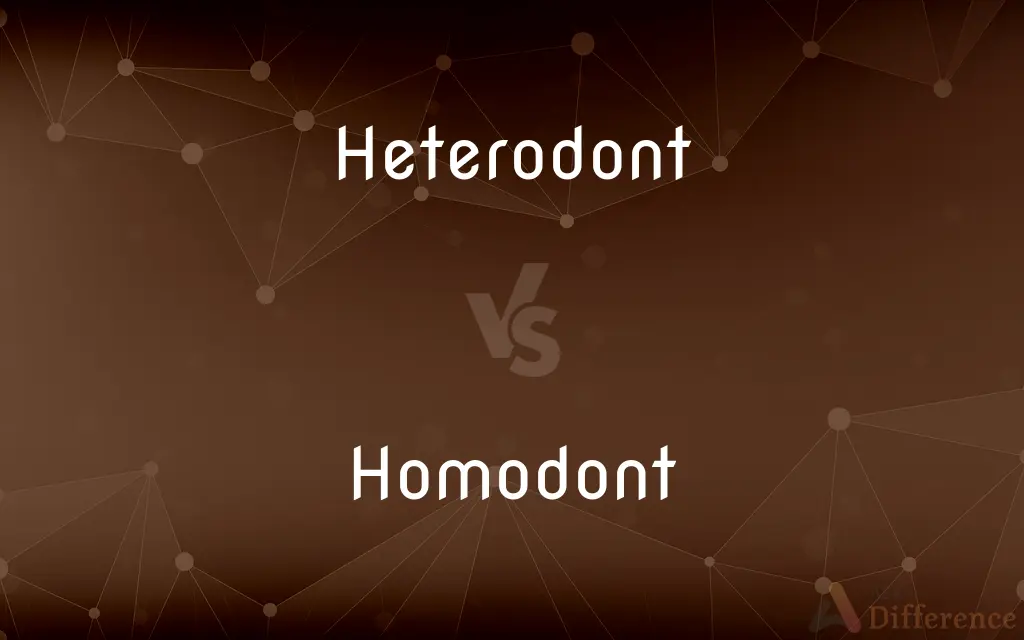 Heterodont vs. Homodont — What's the Difference?