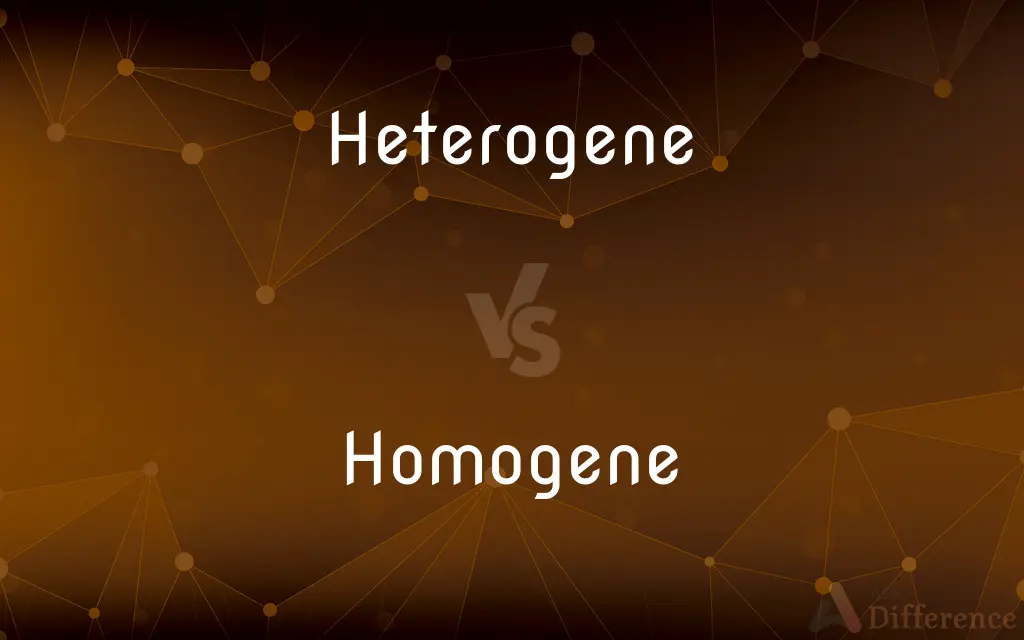 Heterogene vs. Homogene — What's the Difference?