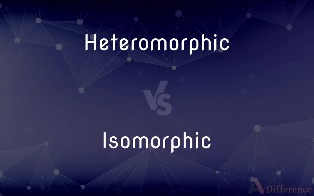 Heteromorphic vs. Isomorphic — What's the Difference?
