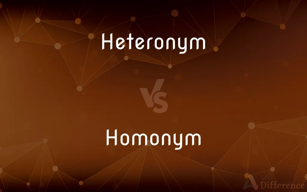 Heteronym vs. Homonym — What's the Difference?