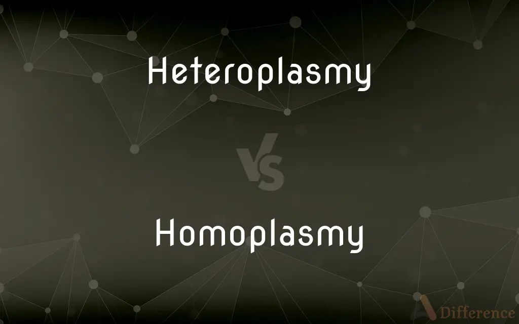 Heteroplasmy vs. Homoplasmy — What's the Difference?