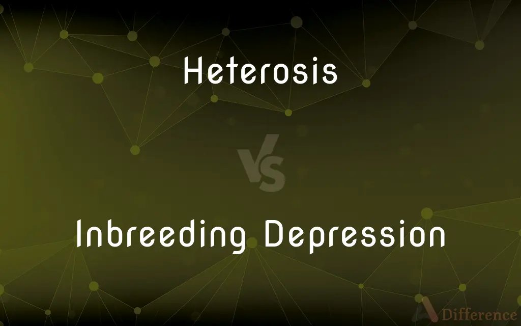Heterosis vs. Inbreeding Depression — What's the Difference?