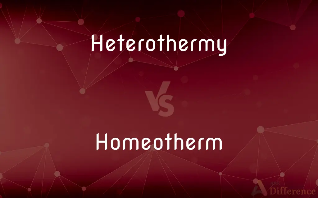 Heterothermy vs. Homeotherm — What's the Difference?