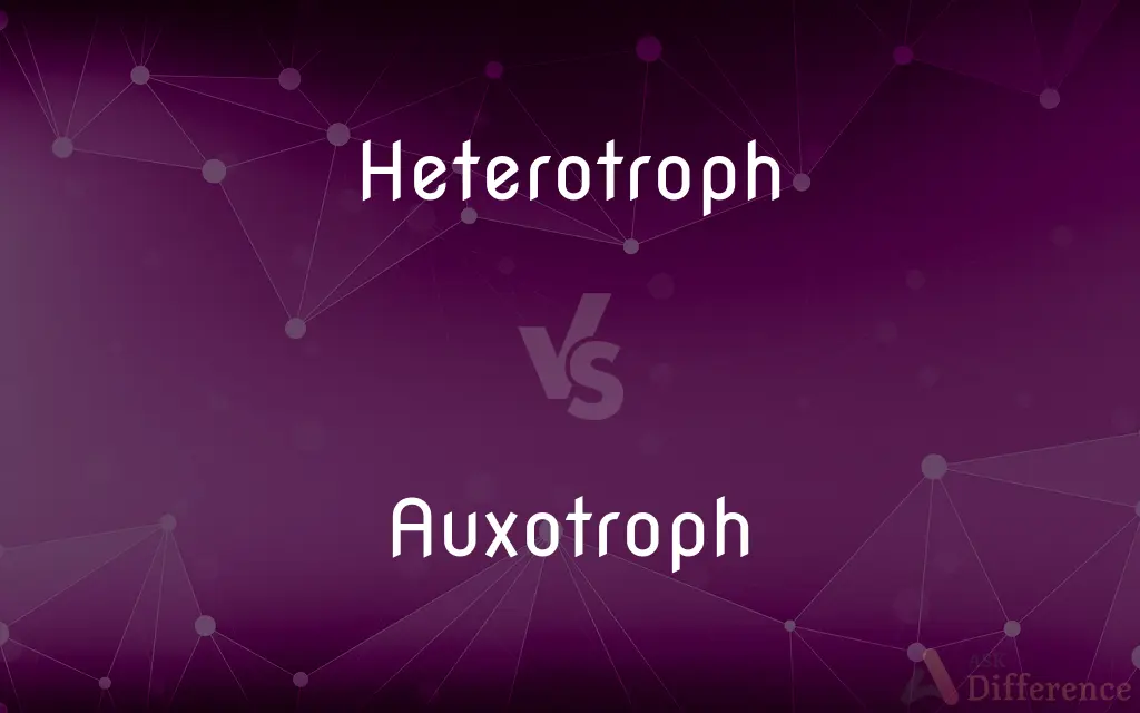Heterotroph vs. Auxotroph — What's the Difference?