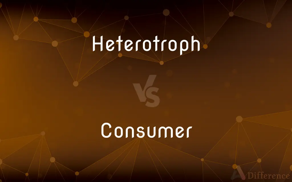 Heterotroph vs. Consumer — What's the Difference?