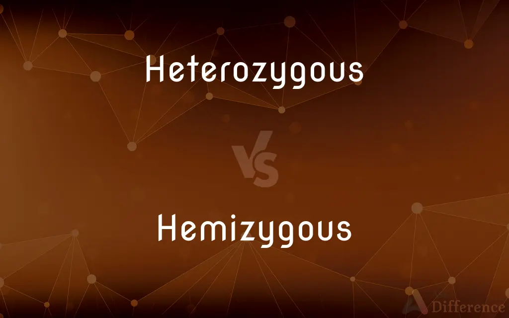 Heterozygous vs. Hemizygous — What's the Difference?