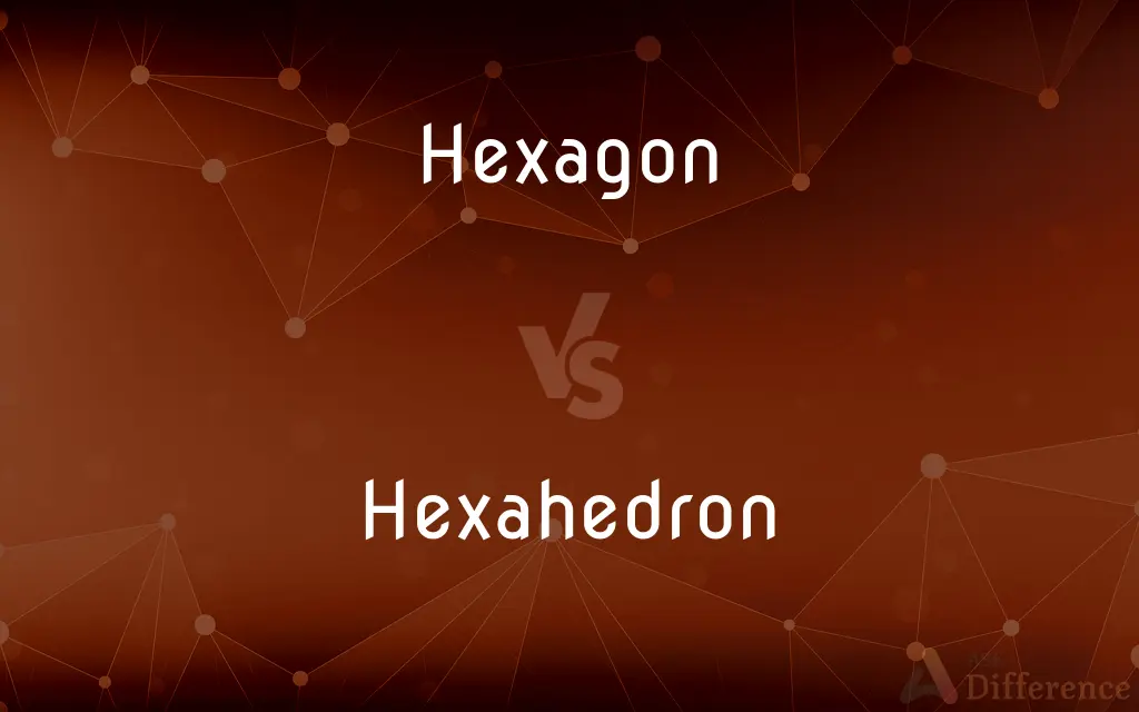 Hexagon vs. Hexahedron — What's the Difference?