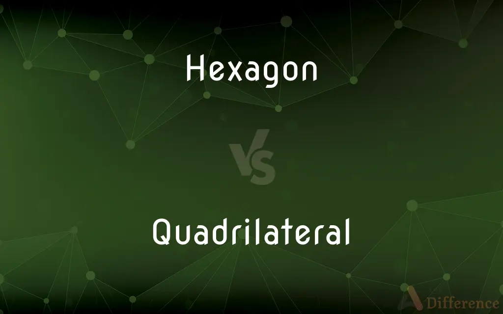 Hexagon vs. Quadrilateral — What's the Difference?